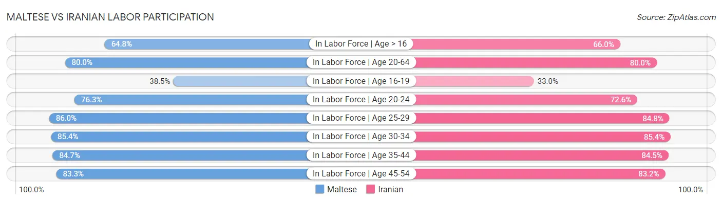 Maltese vs Iranian Labor Participation