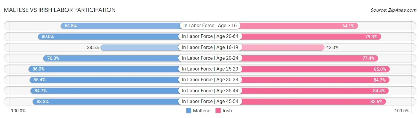 Maltese vs Irish Labor Participation
