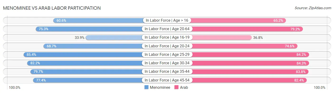 Menominee vs Arab Labor Participation