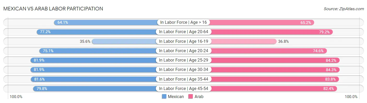 Mexican vs Arab Labor Participation