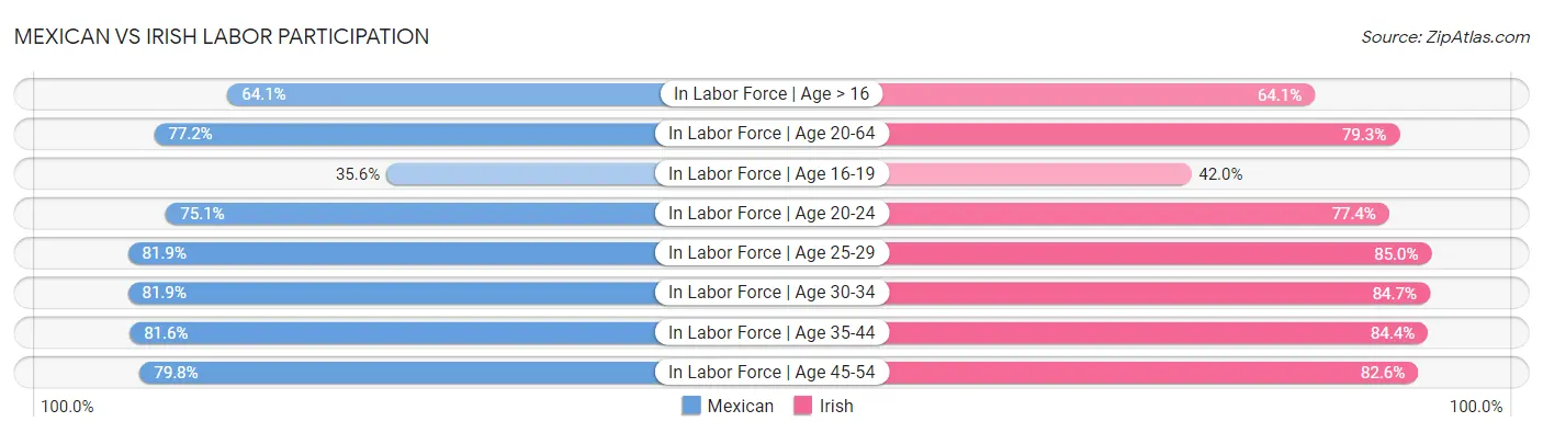 Mexican vs Irish Labor Participation