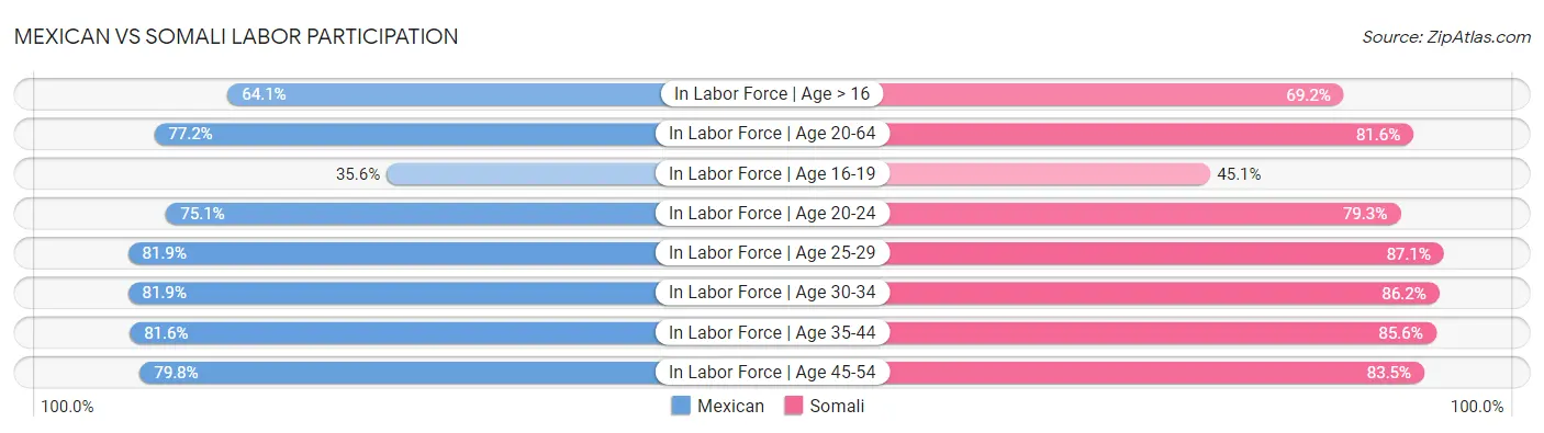 Mexican vs Somali Labor Participation