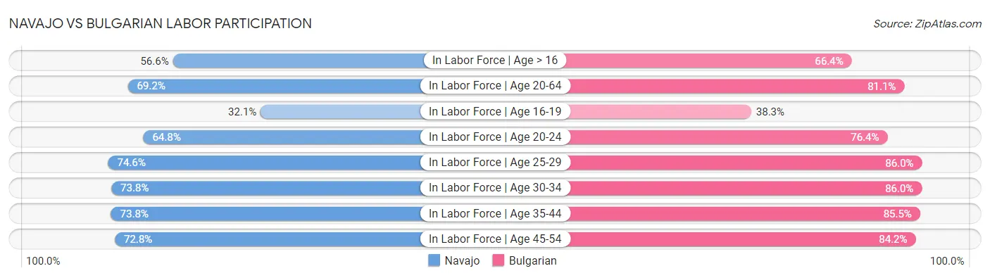 Navajo vs Bulgarian Labor Participation