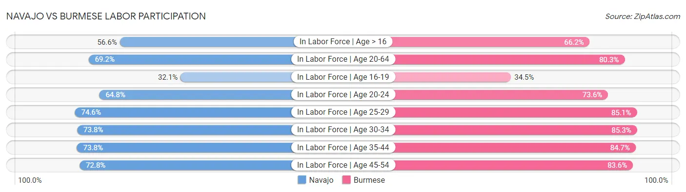 Navajo vs Burmese Labor Participation