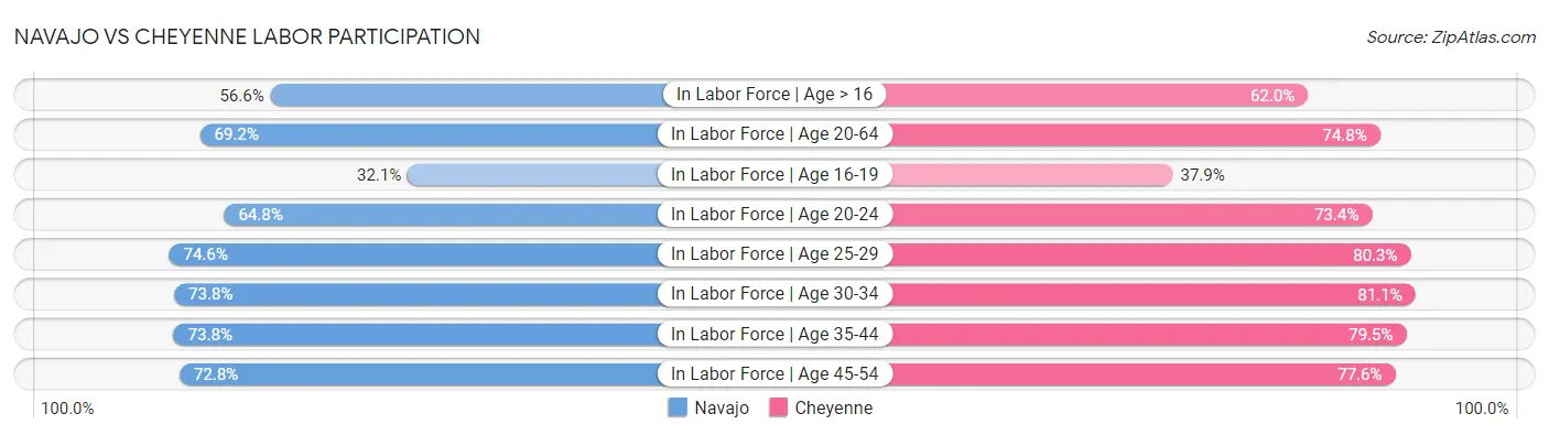 Navajo vs Cheyenne Labor Participation