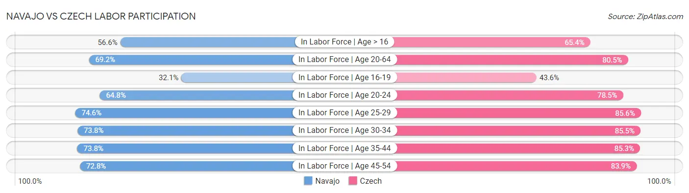 Navajo vs Czech Labor Participation