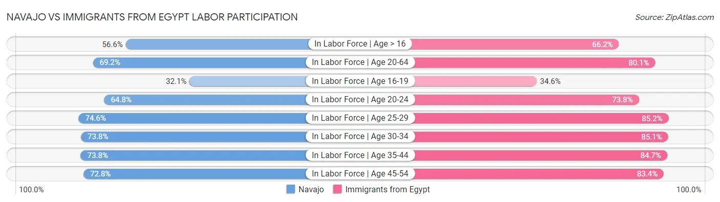Navajo vs Immigrants from Egypt Labor Participation