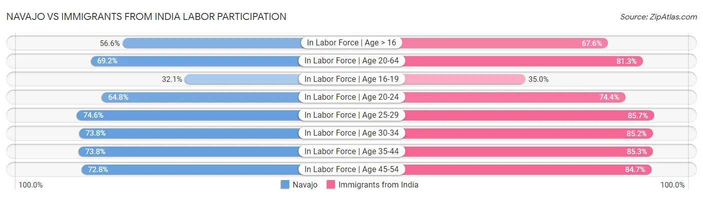 Navajo vs Immigrants from India Labor Participation