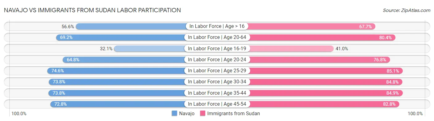 Navajo vs Immigrants from Sudan Labor Participation