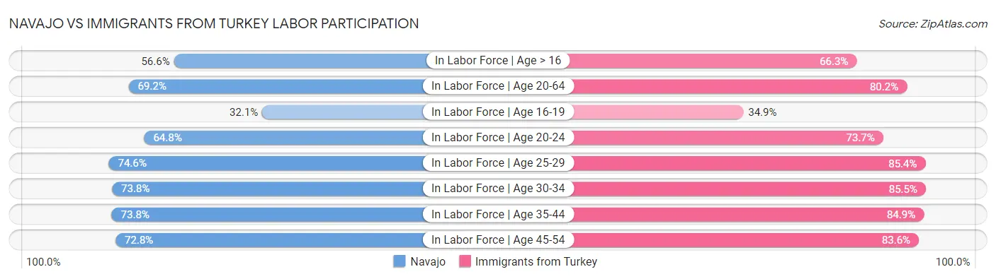 Navajo vs Immigrants from Turkey Labor Participation