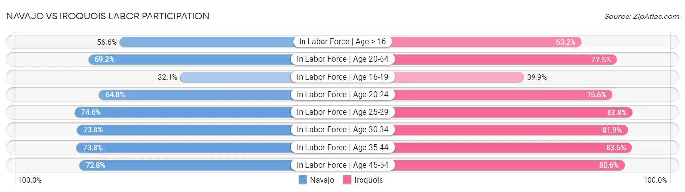Navajo vs Iroquois Labor Participation
