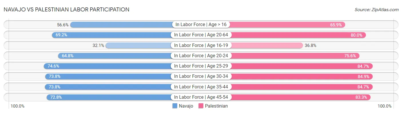 Navajo vs Palestinian Labor Participation