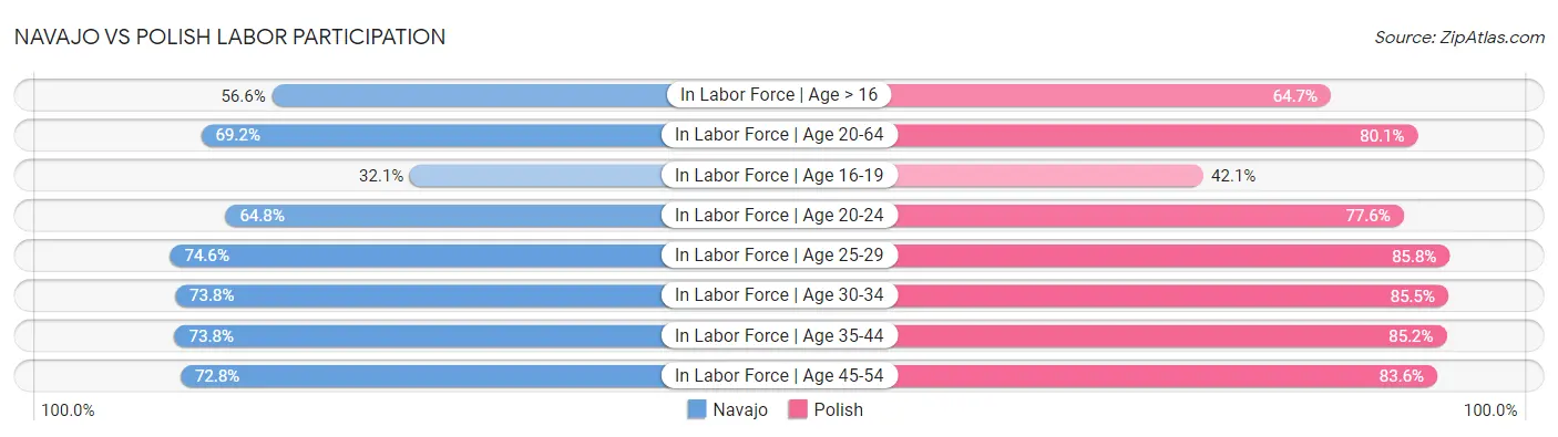 Navajo vs Polish Labor Participation