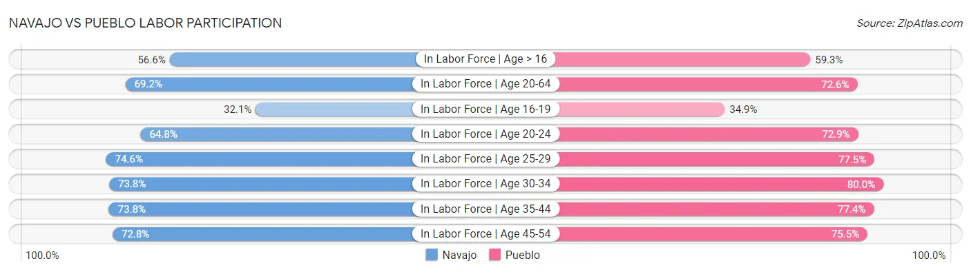 Navajo vs Pueblo Labor Participation