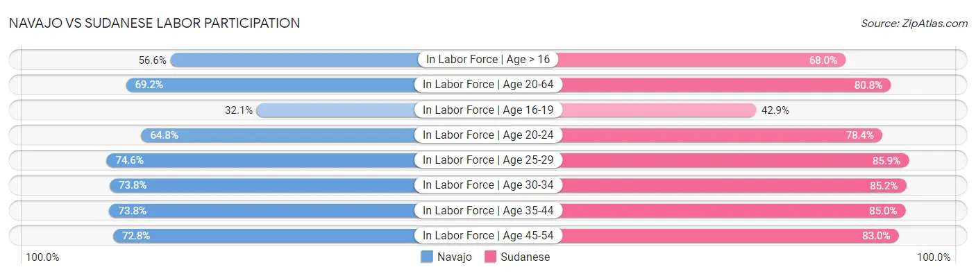 Navajo vs Sudanese Labor Participation