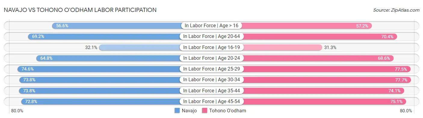 Navajo vs Tohono O'odham Labor Participation