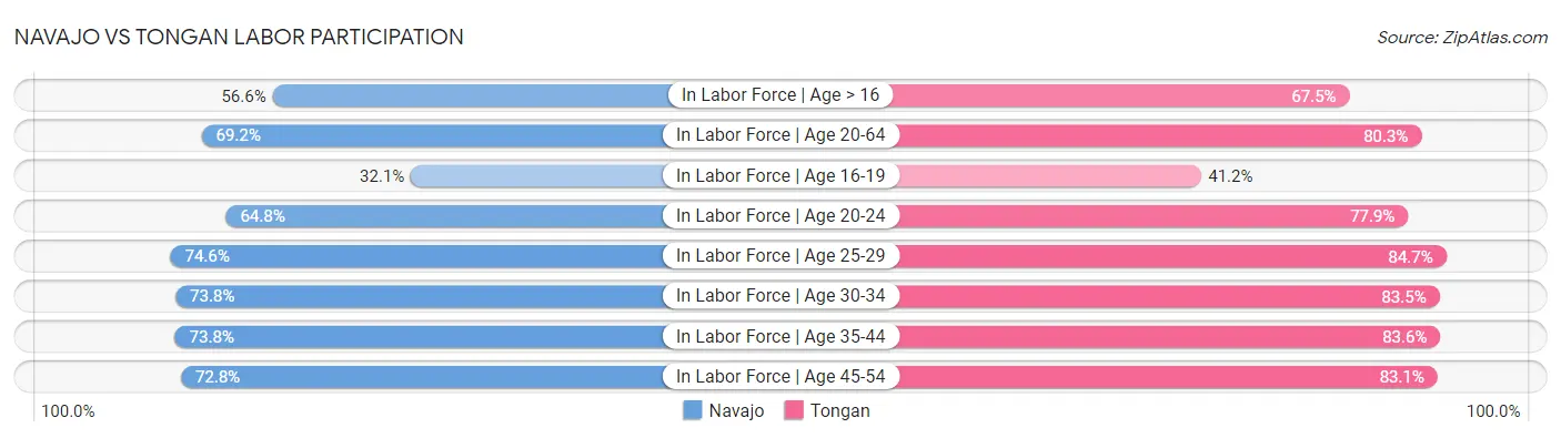Navajo vs Tongan Labor Participation