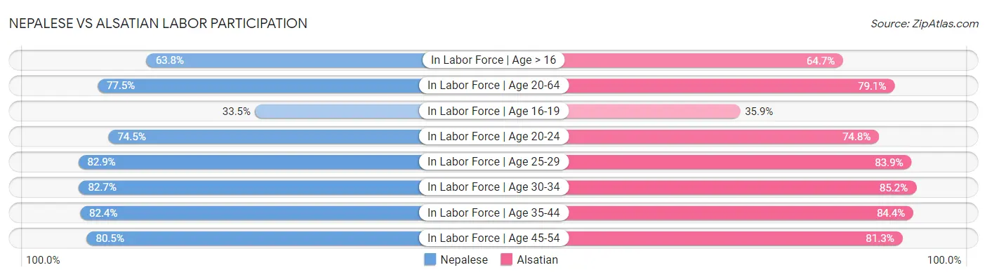 Nepalese vs Alsatian Labor Participation