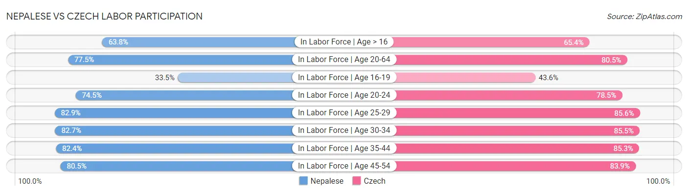 Nepalese vs Czech Labor Participation