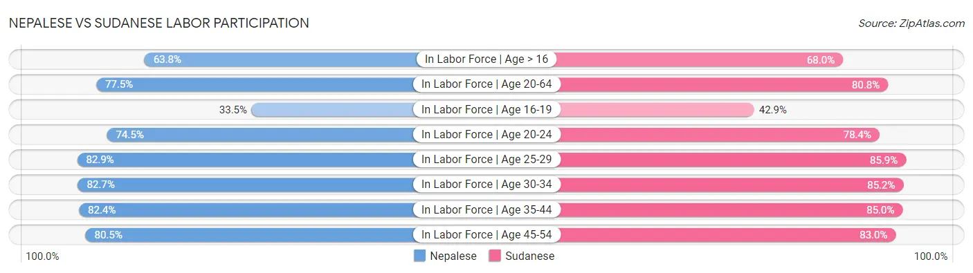 Nepalese vs Sudanese Labor Participation