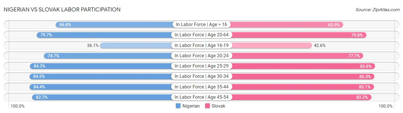 Nigerian vs Slovak Labor Participation
