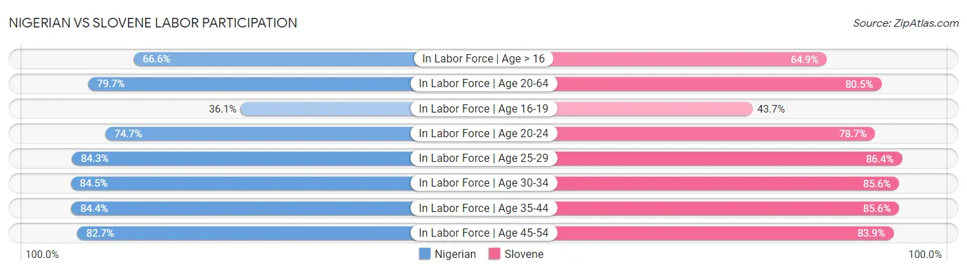 Nigerian vs Slovene Labor Participation