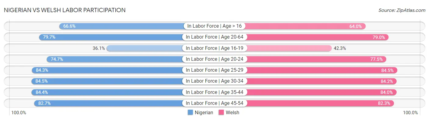 Nigerian vs Welsh Labor Participation