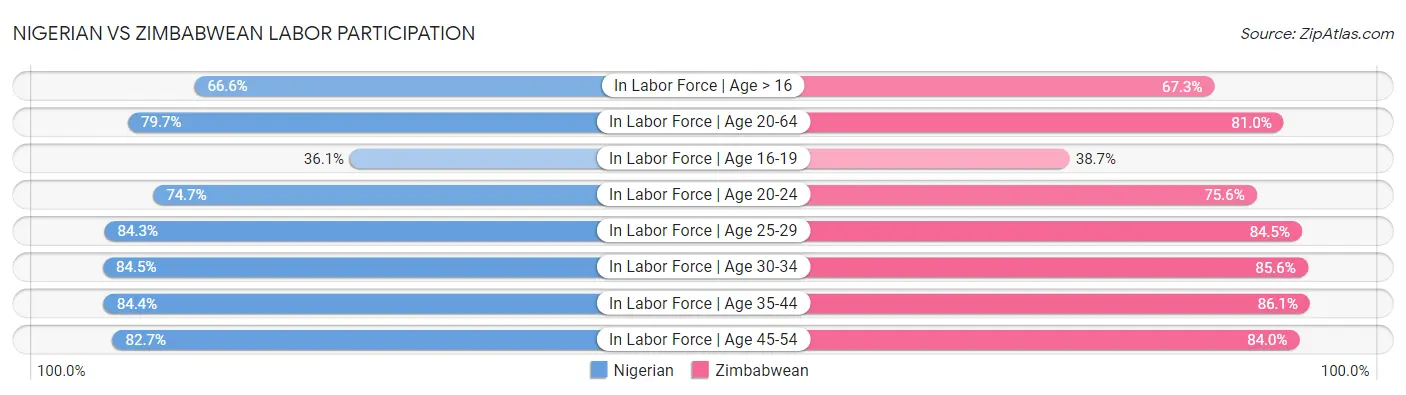 Nigerian vs Zimbabwean Labor Participation