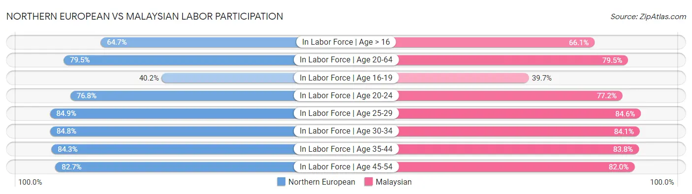 Northern European vs Malaysian Labor Participation