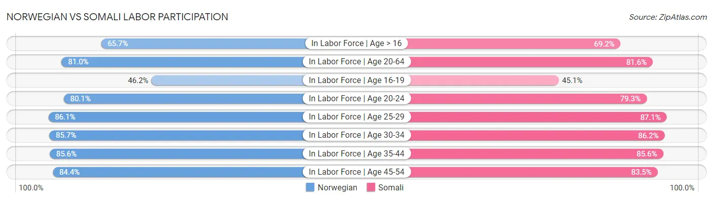 Norwegian vs Somali Labor Participation