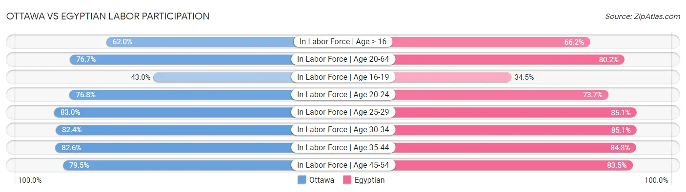 Ottawa vs Egyptian Labor Participation