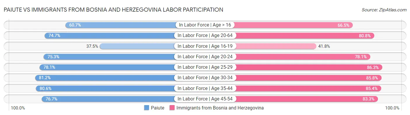 Paiute vs Immigrants from Bosnia and Herzegovina Labor Participation