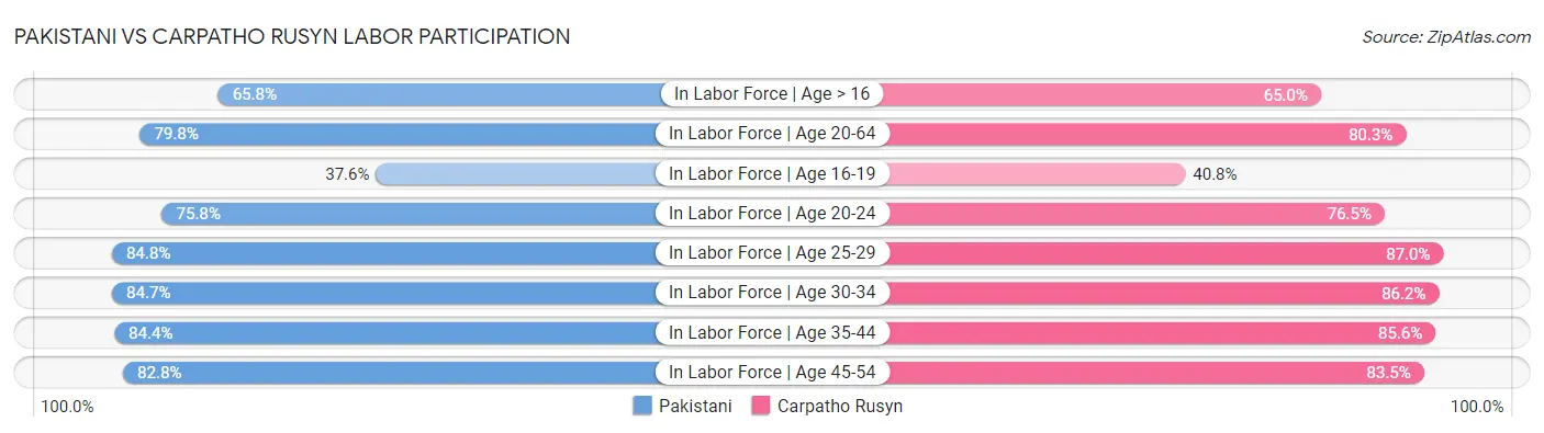 Pakistani vs Carpatho Rusyn Labor Participation