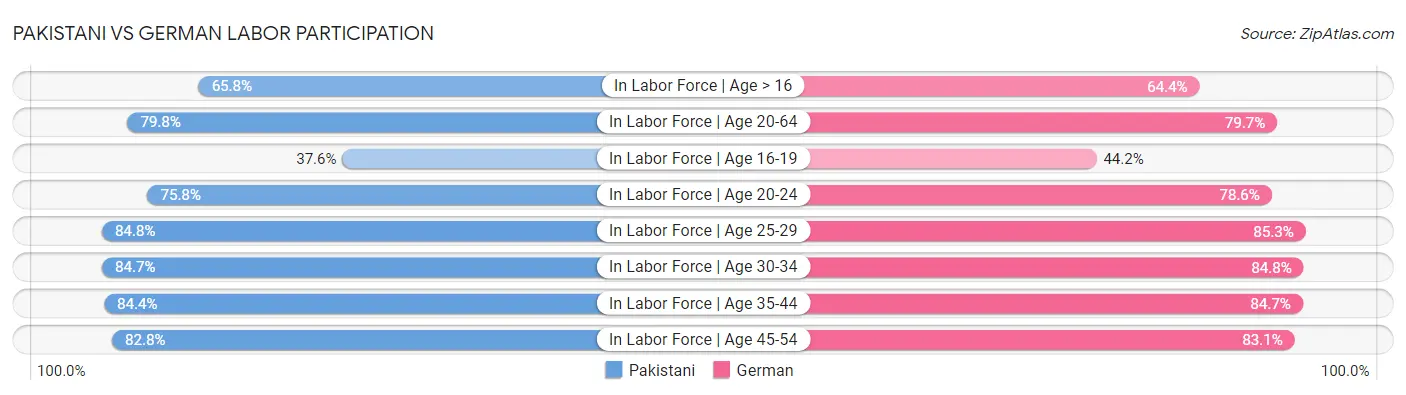 Pakistani vs German Labor Participation