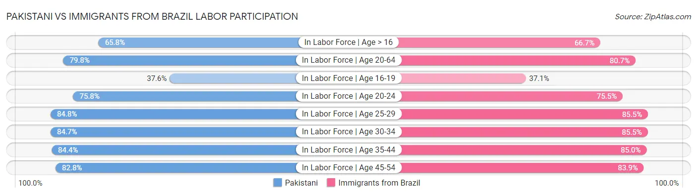Pakistani vs Immigrants from Brazil Labor Participation