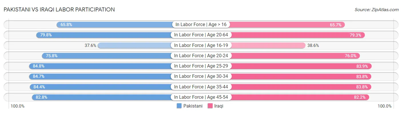 Pakistani vs Iraqi Labor Participation