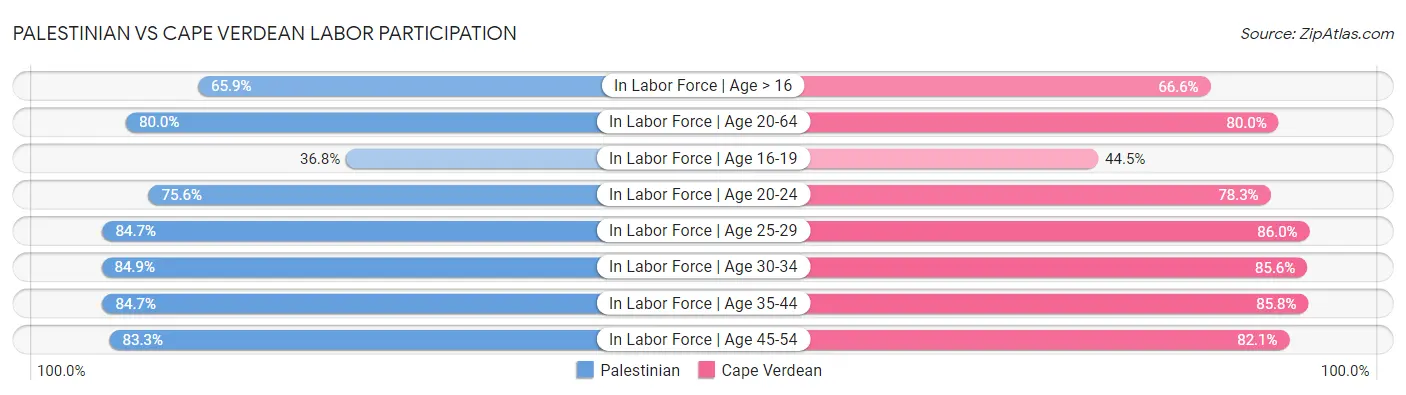 Palestinian vs Cape Verdean Labor Participation