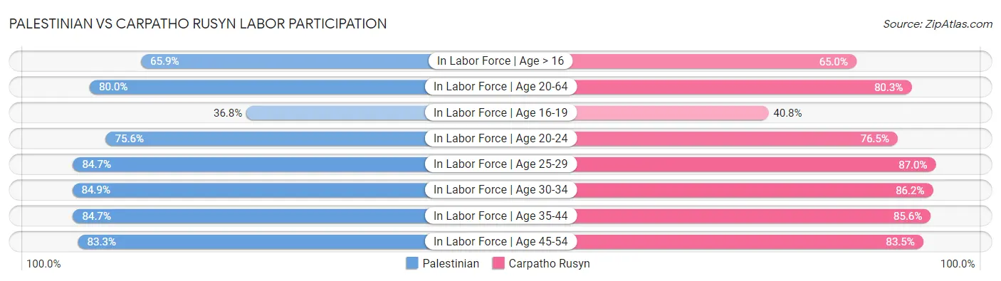 Palestinian vs Carpatho Rusyn Labor Participation