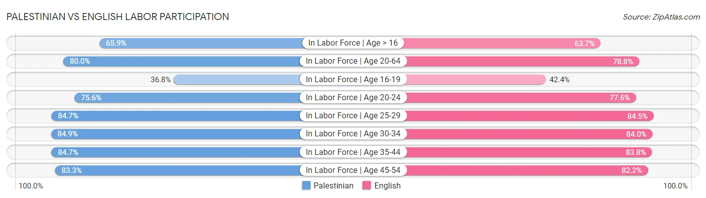 Palestinian vs English Labor Participation