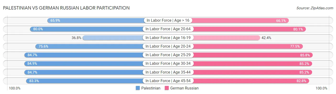 Palestinian vs German Russian Labor Participation