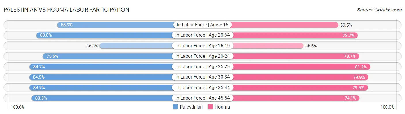 Palestinian vs Houma Labor Participation