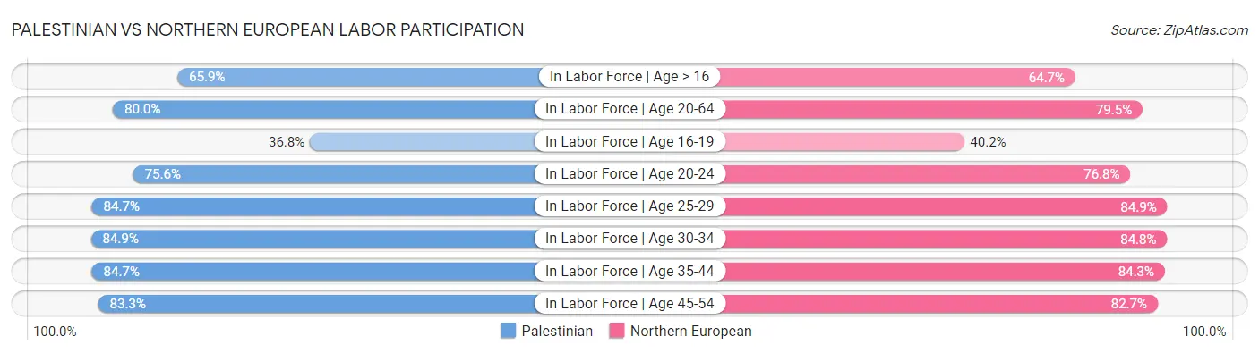 Palestinian vs Northern European Labor Participation