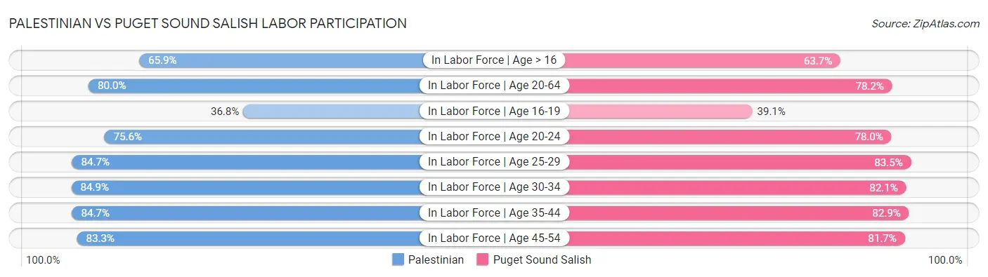 Palestinian vs Puget Sound Salish Labor Participation
