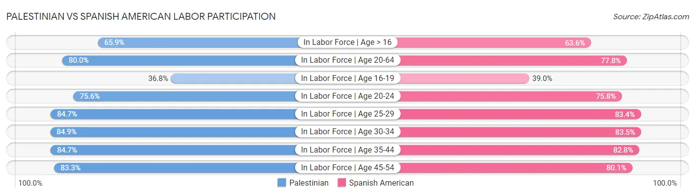 Palestinian vs Spanish American Labor Participation