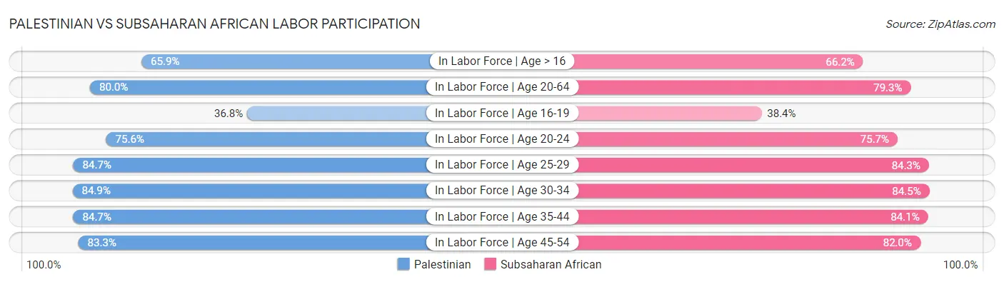 Palestinian vs Subsaharan African Labor Participation