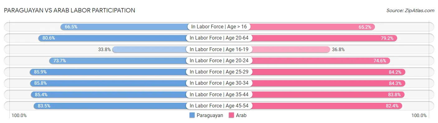 Paraguayan vs Arab Labor Participation
