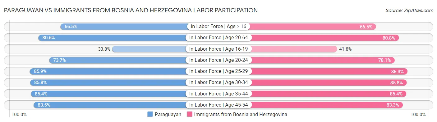 Paraguayan vs Immigrants from Bosnia and Herzegovina Labor Participation