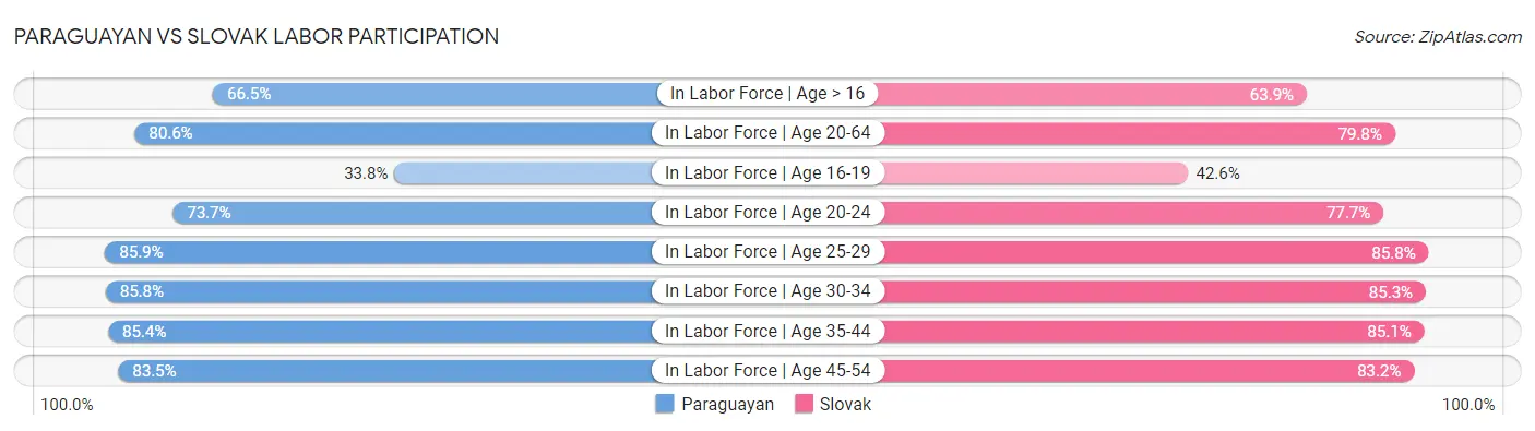 Paraguayan vs Slovak Labor Participation