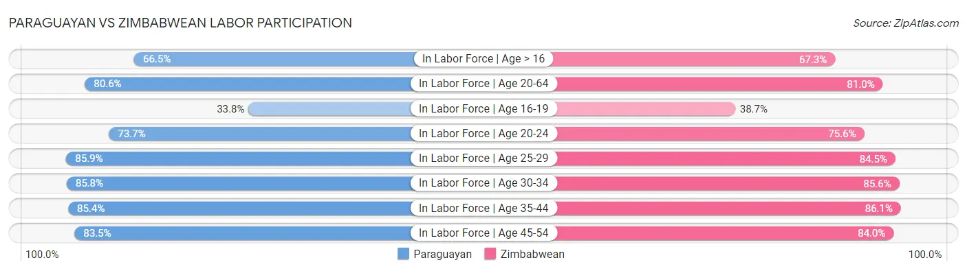 Paraguayan vs Zimbabwean Labor Participation