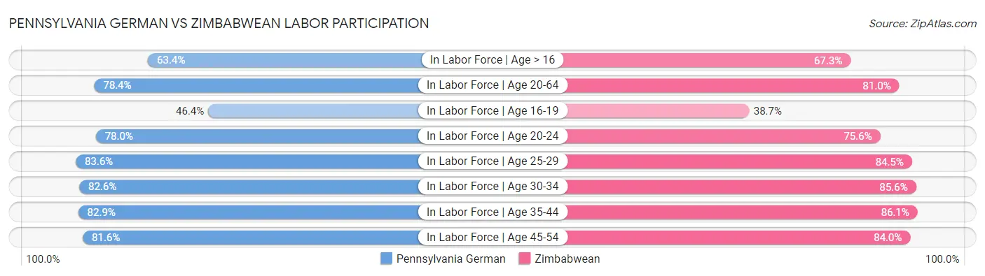 Pennsylvania German vs Zimbabwean Labor Participation